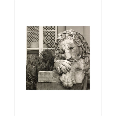Chatsworth Lion print unframed