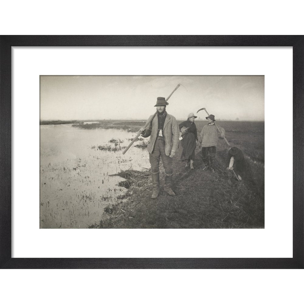 Coming Home from the Marshes print in black frame