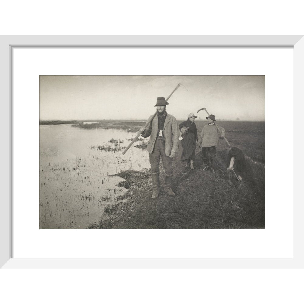 Coming Home from the Marshes print in white frame