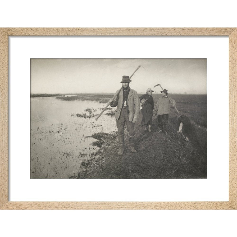Coming Home from the Marshes print in natural frame