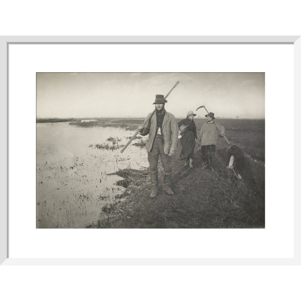 Coming Home from the Marshes print in white frame