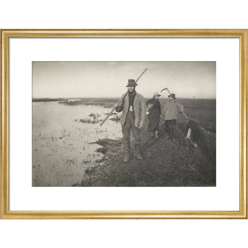 Coming Home from the Marshes print in gold frame