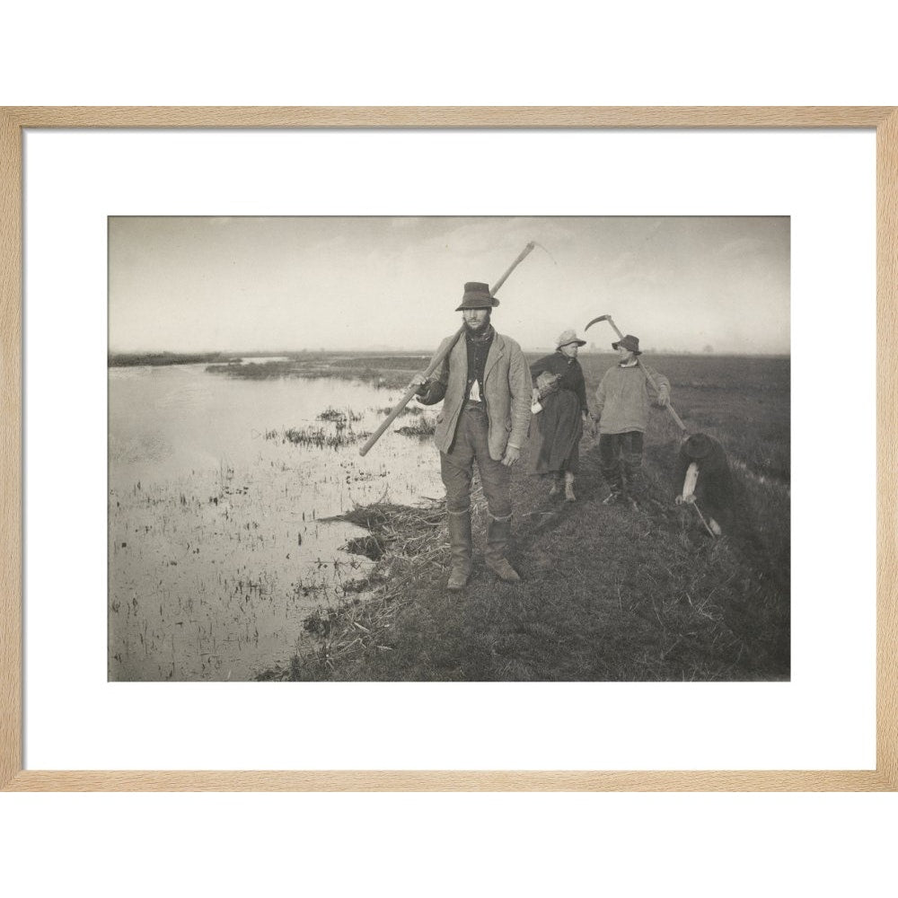 Coming Home from the Marshes print in natural frame