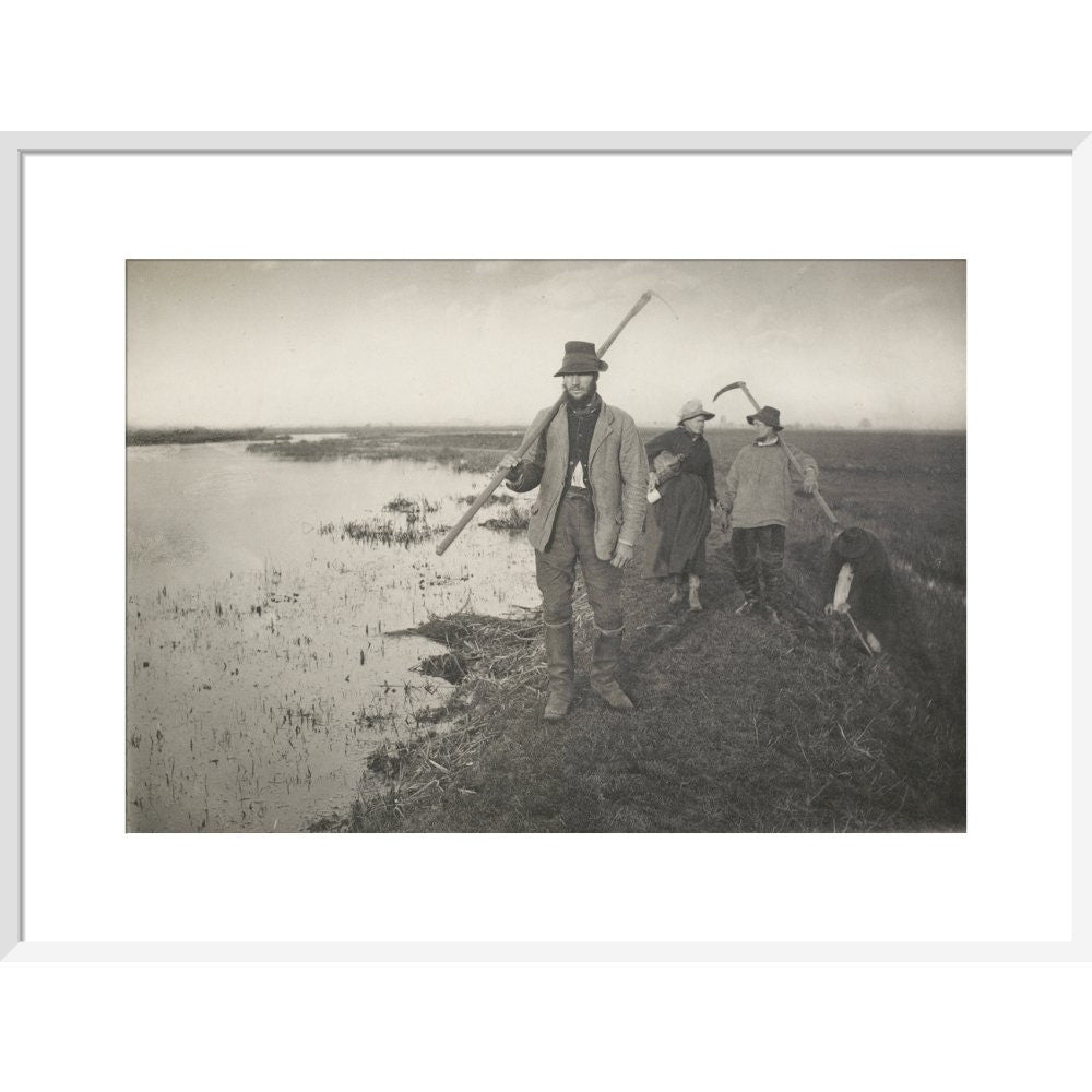 Coming Home from the Marshes print in white frame