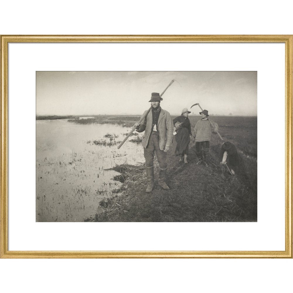 Coming Home from the Marshes print in gold frame