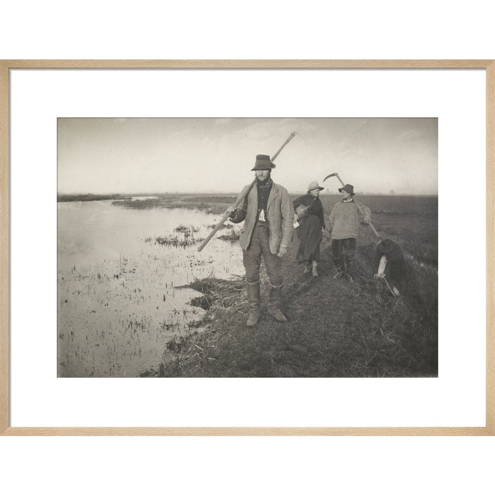 Coming Home from the Marshes print in natural frame