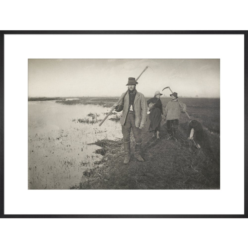 Coming Home from the Marshes print in black frame