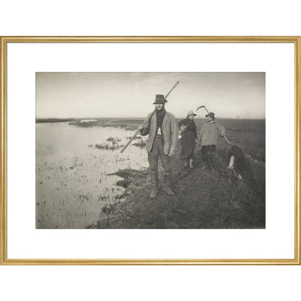 Coming Home from the Marshes print in gold frame