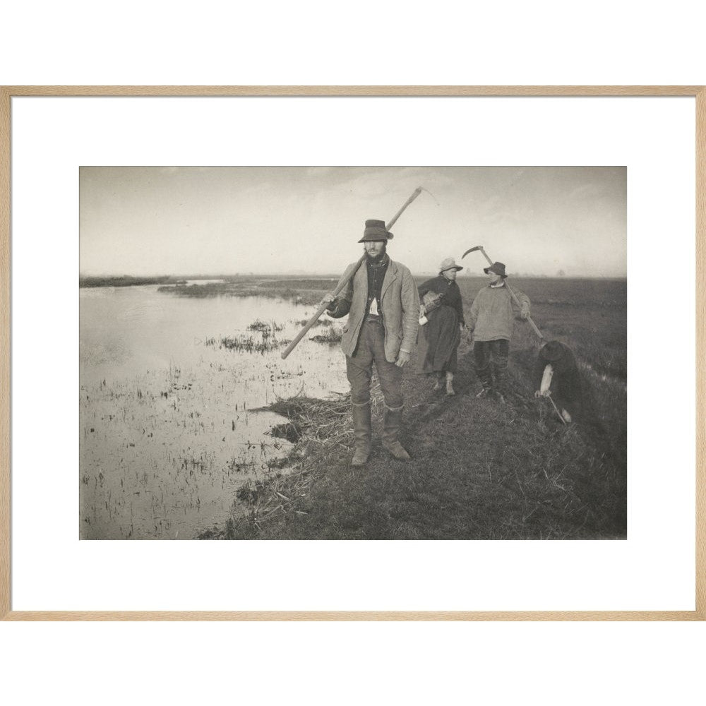 Coming Home from the Marshes print in natural frame