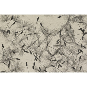 Dandelion Seeds print