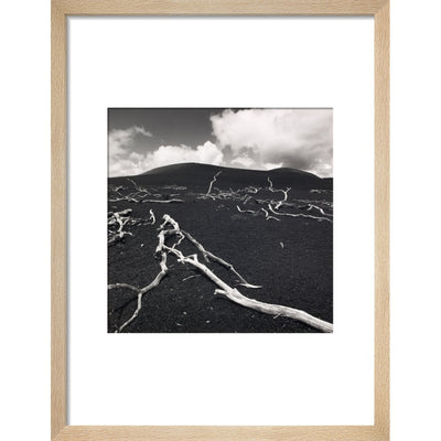 Devastation Hill print in natural frame