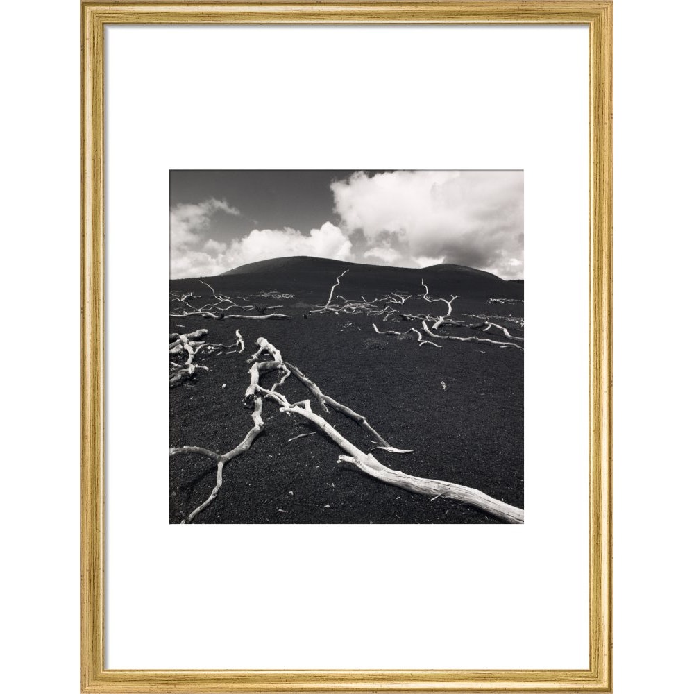 Devastation Hill print in gold frame