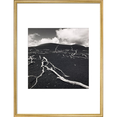 Devastation Hill print in gold frame