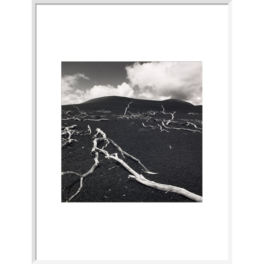 Devastation Hill print in white frame