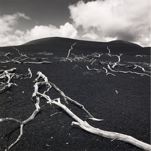 Devastation Hill print