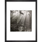 Fence print in black frame