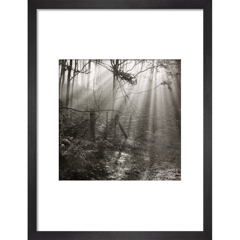 Fence print in black frame