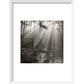 Fence print in white frame