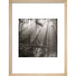 Fence print in natural frame