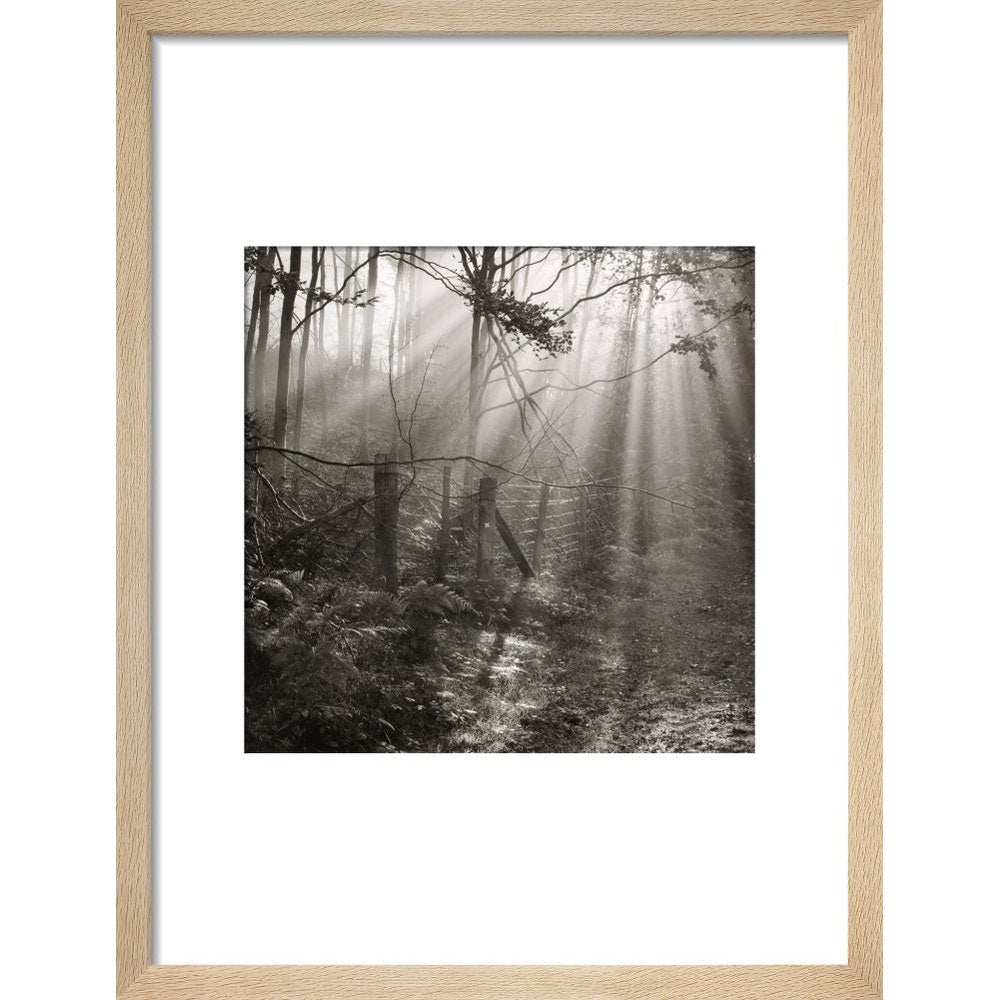 Fence print in natural frame