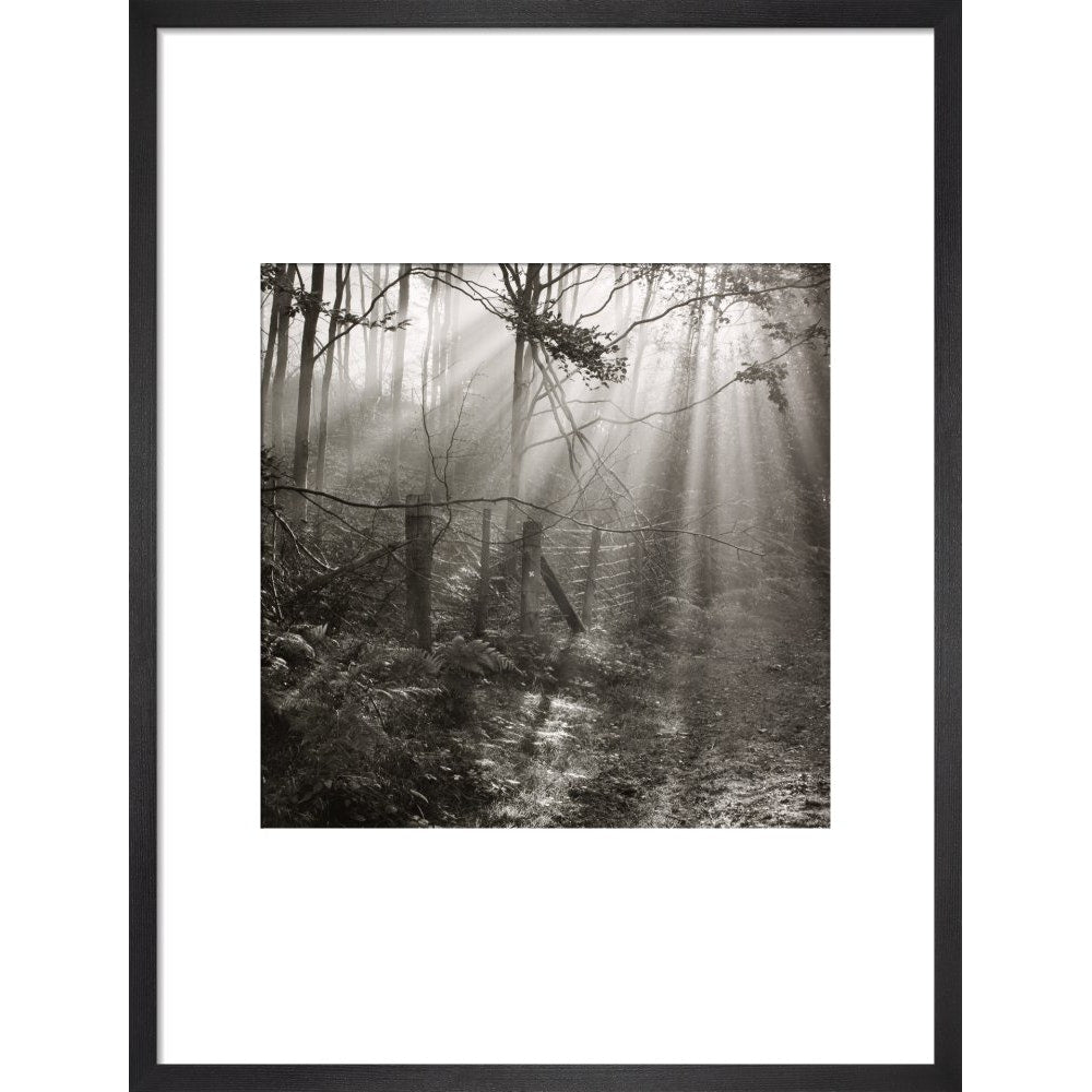 Fence print in black frame