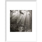 Fence print in white frame