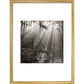 Fence print in gold frame