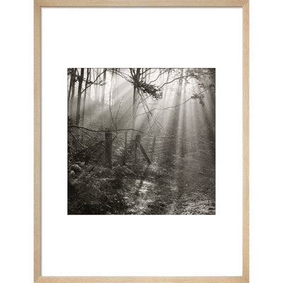 Fence print in natural frame