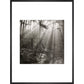 Fence print in black frame