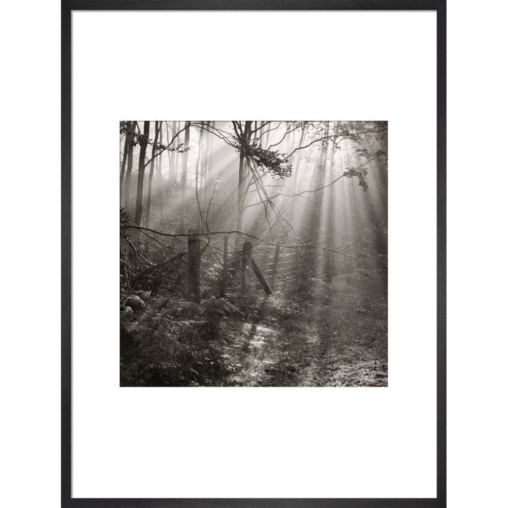 Fence print in black frame