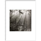 Fence print in white frame