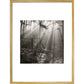 Fence print in gold frame