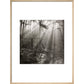 Fence print in natural frame