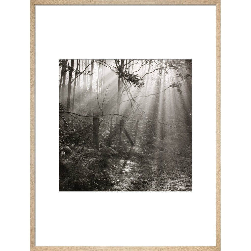 Fence print in natural frame