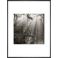 Fence print in black frame