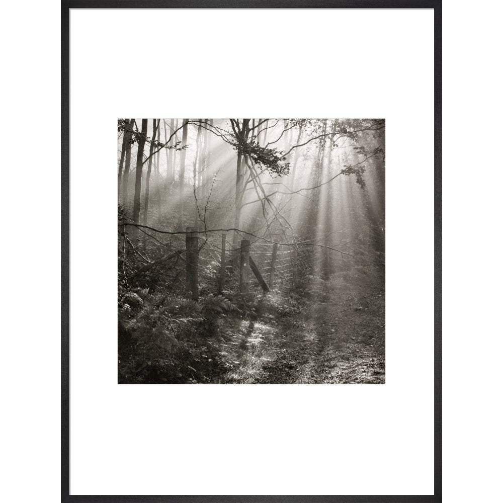 Fence print in black frame