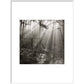 Fence print in white frame
