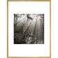 Fence print in gold frame