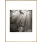 Fence print in natural frame