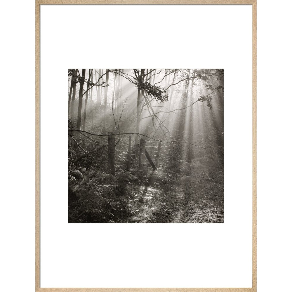 Fence print in natural frame