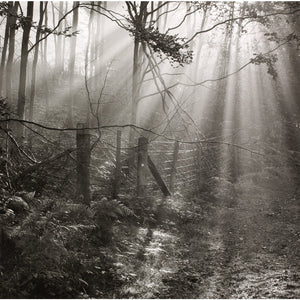 Fence print