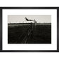 Leaping Lurcher print in black frame