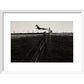 Leaping Lurcher print in white frame