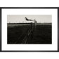 Leaping Lurcher print in black frame