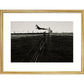 Leaping Lurcher print in gold frame