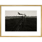 Leaping Lurcher print in gold frame