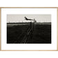 Leaping Lurcher print in natural frame