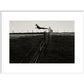 Leaping Lurcher print in white frame