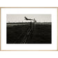 Leaping Lurcher print in natural frame