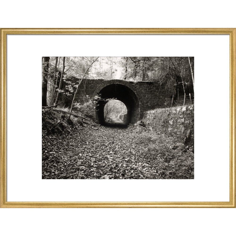 One Way Bridge print in gold frame